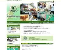 �F�s�{�������e�w��